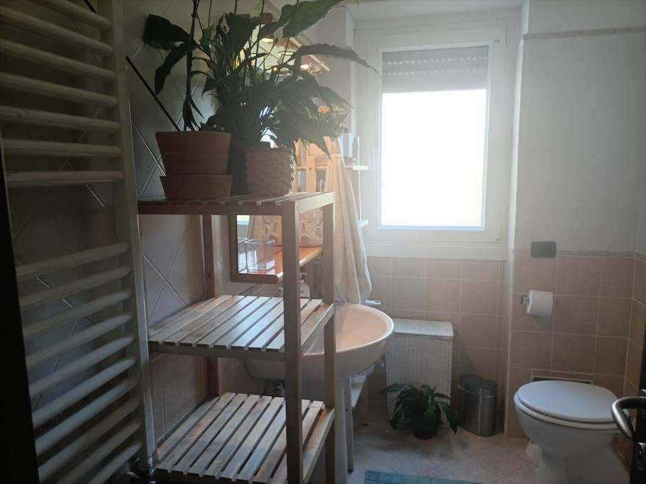 Mia Ginger, Stazione Trastevere Vicinanze Ρώμη Εξωτερικό φωτογραφία